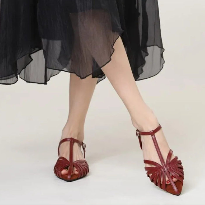 Women’s Low Heel Gladiator Sandals – Pointed Toe Roman Summer Shoes
