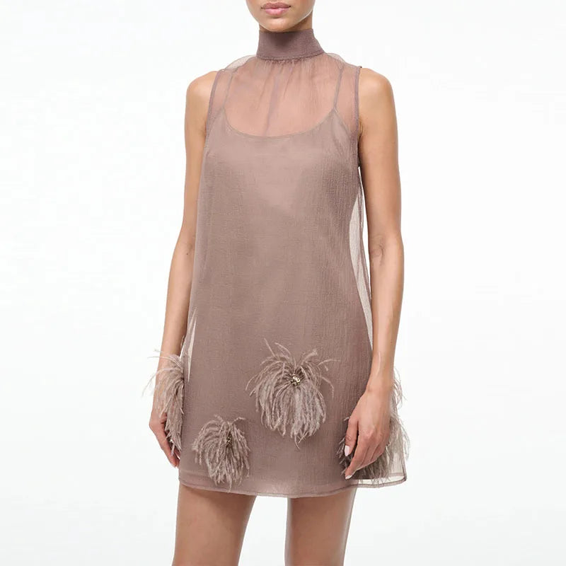 Brown sheer dress with feather details on a white background